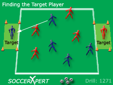 Soccer Drills