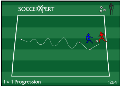 Soccer Drills