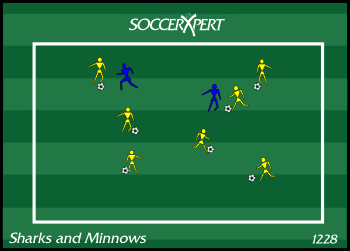 Soccer Drill Diagram: Sharks and Minnows