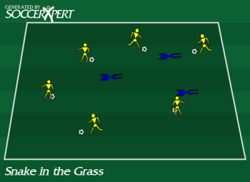 Soccer Drill Diagram: Snake in the Grass Soccer Game