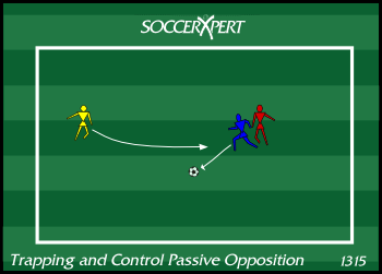 Soccer Drills