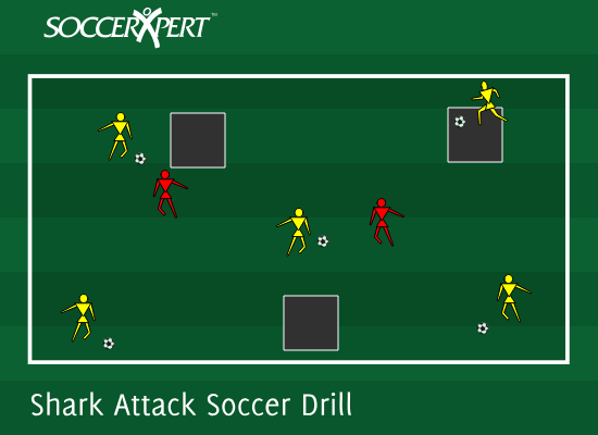 Soccer Drills