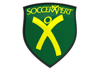 Topic-Specific Soccer Drills